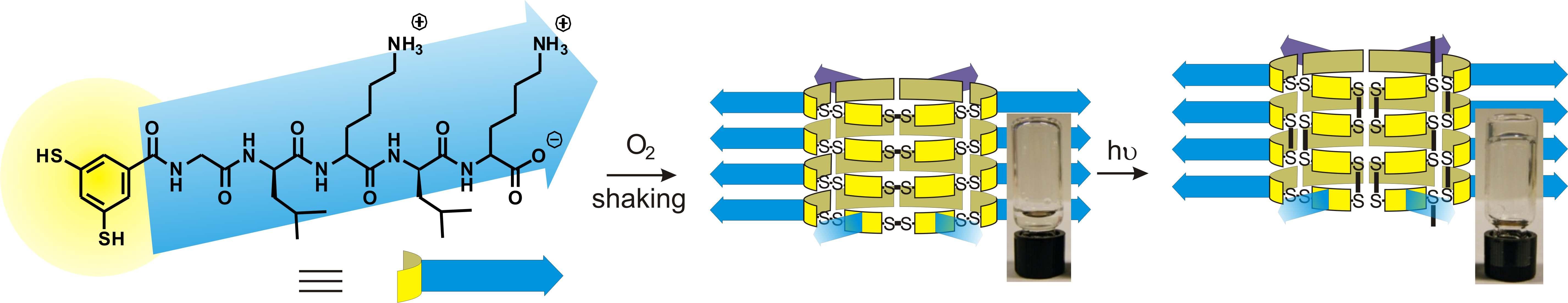 Gel formation