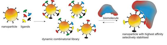 Biosensing on Nanoparticles